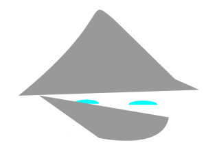 inkognito